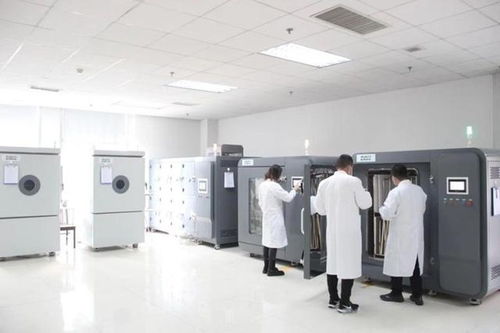 臨沂檢驗檢測中心相關木業行業入選優秀案例