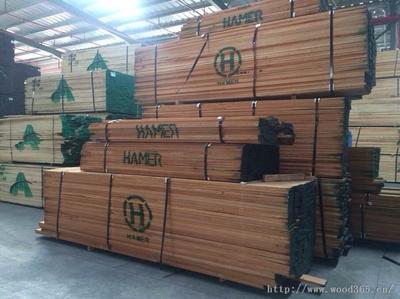 福州大樹木業(yè) -中國木業(yè)網(wǎng)