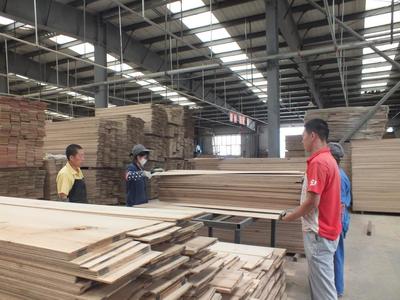 木業(yè)企業(yè)的樂園-企業(yè),木業(yè),林木,干燥,生產(chǎn),-綏芬河站