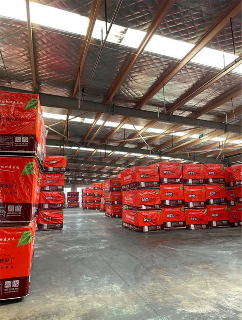 鼎立達榮獲金匠榜健康板材十大品牌 實力加冕，引領木業高質量發展