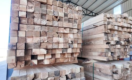 投資億元，新源添新綠——新疆新源縣現代化木材加工廠正式投產，引領木業高質量發展